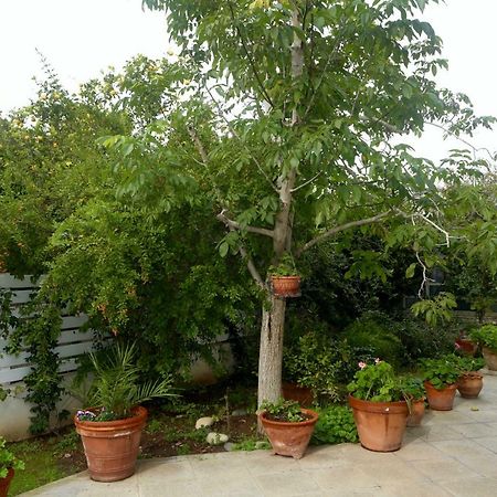Sunny Garden Studio Hotel Nicosia Exterior foto