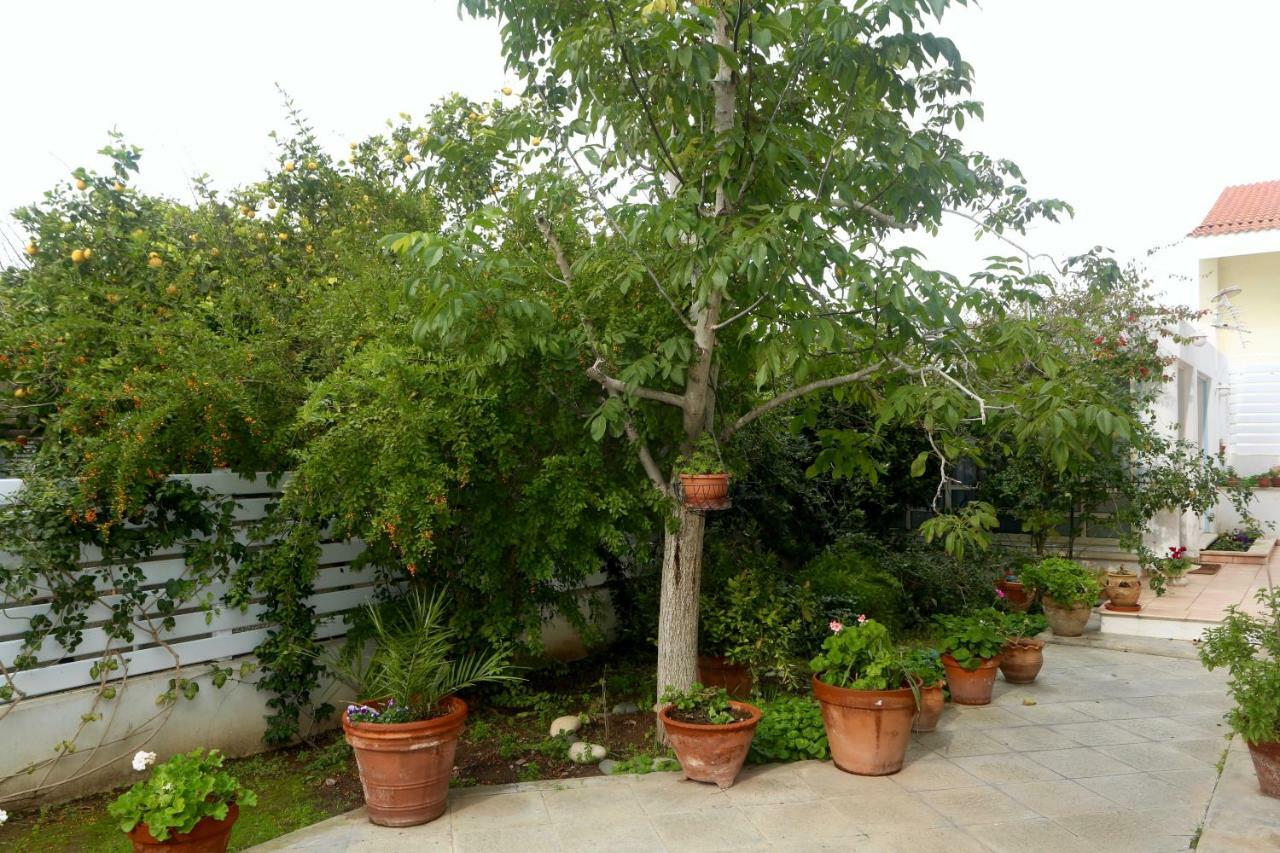 Sunny Garden Studio Hotel Nicosia Exterior foto